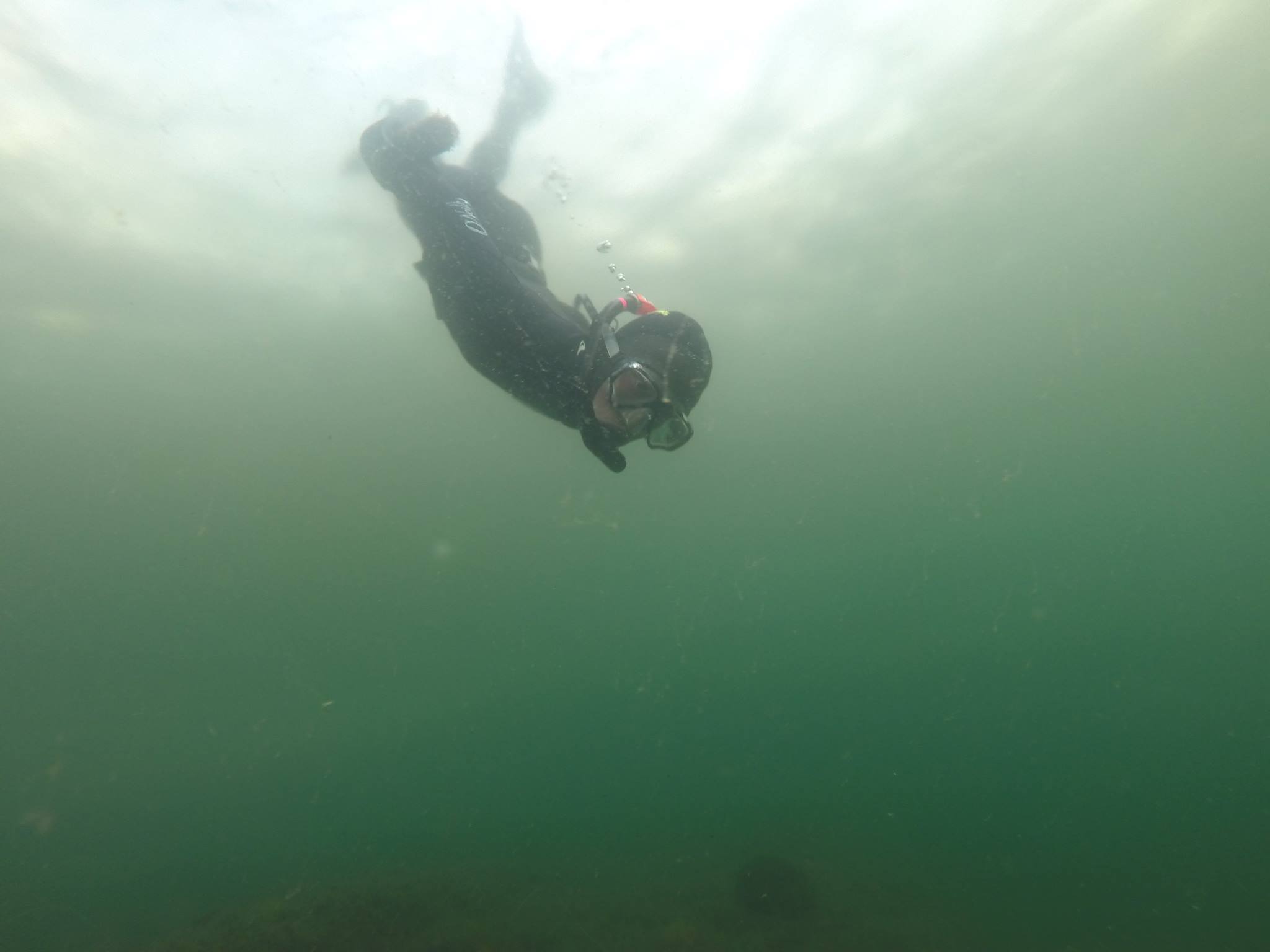 11336816_10153012730457881_2988404358998868813_o